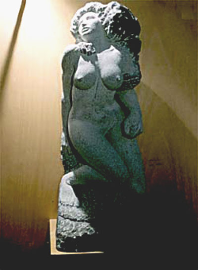Violenza